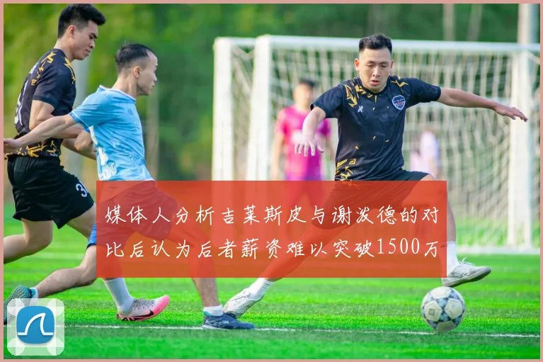 媒体人分析吉莱斯皮与谢泼德的对比后认为后者薪资难以突破1500万